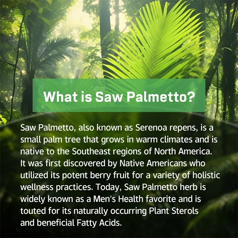 Saw Palmetto - يعزز صحة البروستاتا للرجال، ويكتل DHT ويمنع تساقط الشعر - خالي من الغلوتين وغير وراثيًا