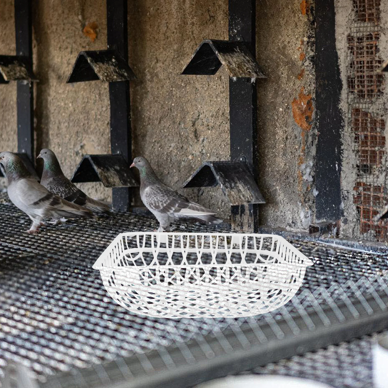 

4Pcs Plastic Pigeon Nest Bowl Sturdy Egg Laying Nest for Homing Pigeons Small Mesh Bottom Bird Breeding Basin Easy Install