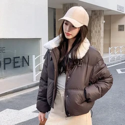 Solid Color Cotton-Padded Jacket Women's Short New Explosions Winter 2024 Thick Cotton-Padded Jacket Bread Warm Temperament Coat