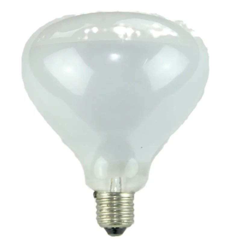 

Swimming Pool Light Accessories 300W/12V Bulb Swimming Pool 12V Low Voltage Halogen Bulb