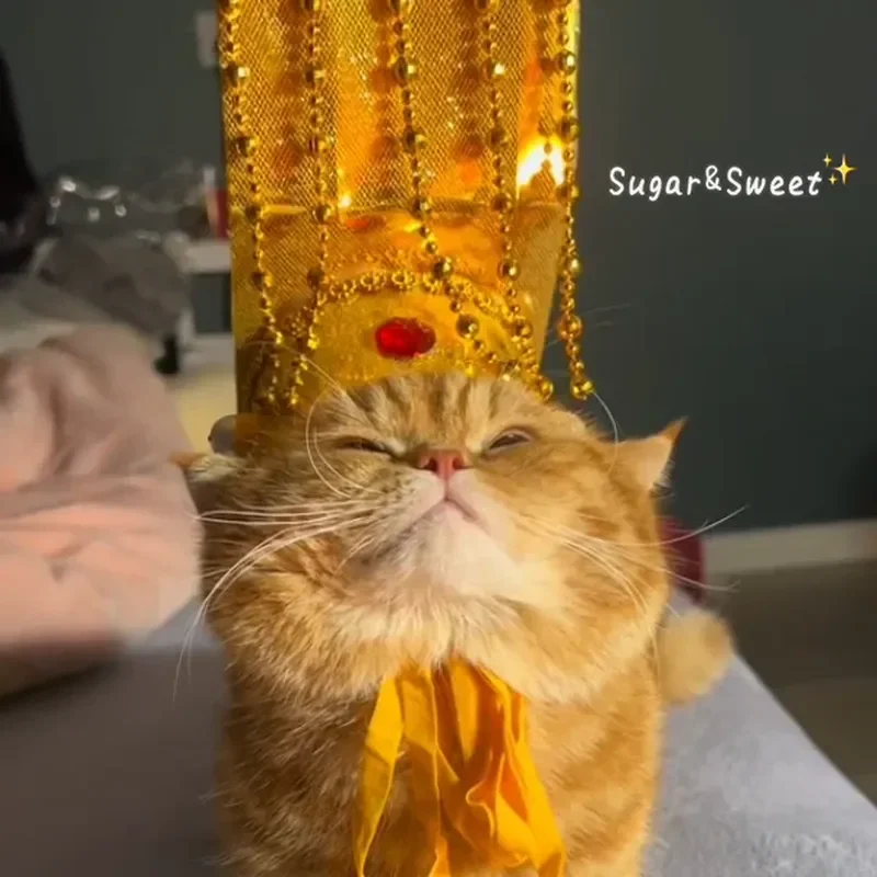 Funny Dog Cat Emperor Crown Hat Creative Palace Headgear Pet Cosplay Costume Accessories For Puppy Kitten Photo Props Party