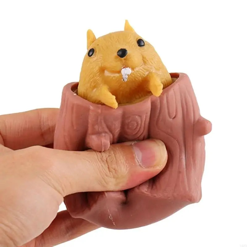 Y88d Squeeze tasse jouets écureuils