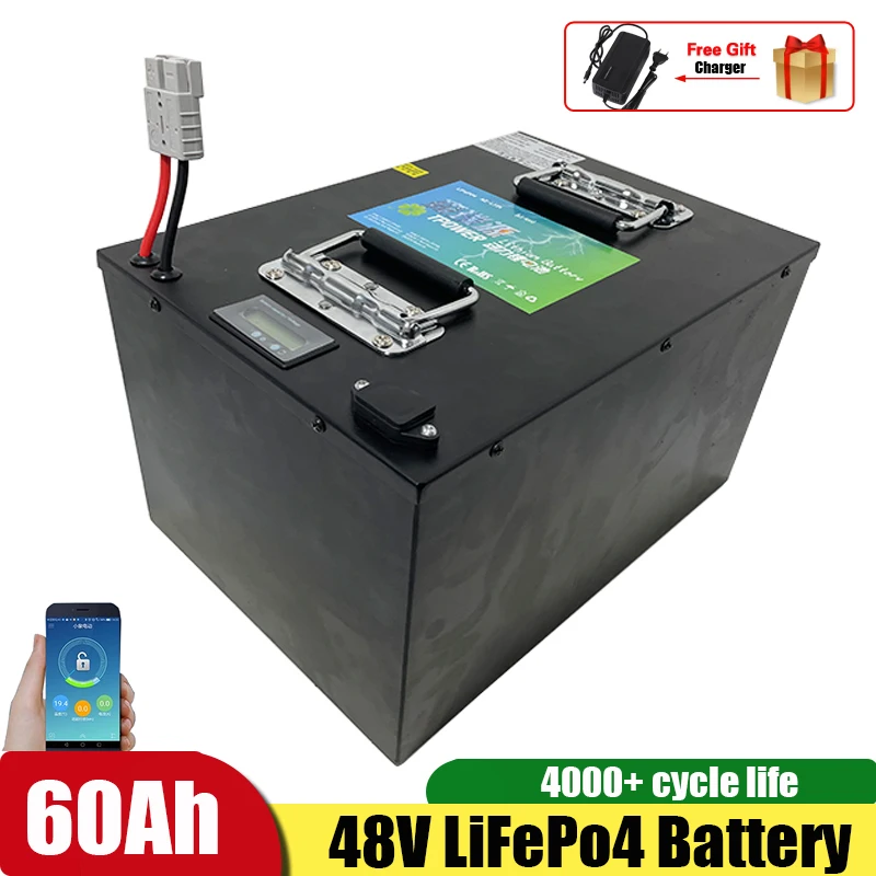 

48V 60Ah LiFepo4 Lithium Battery Pack with BMS for Motorhome Electric Car Solar Energy+10A Charger