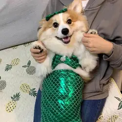Cat Mermaid Tail Sequin Mermaid Tail Clothes For Halloween Cat Fishtail Dress-Up Comfortable & Soft Dog Outfit Funny Pet