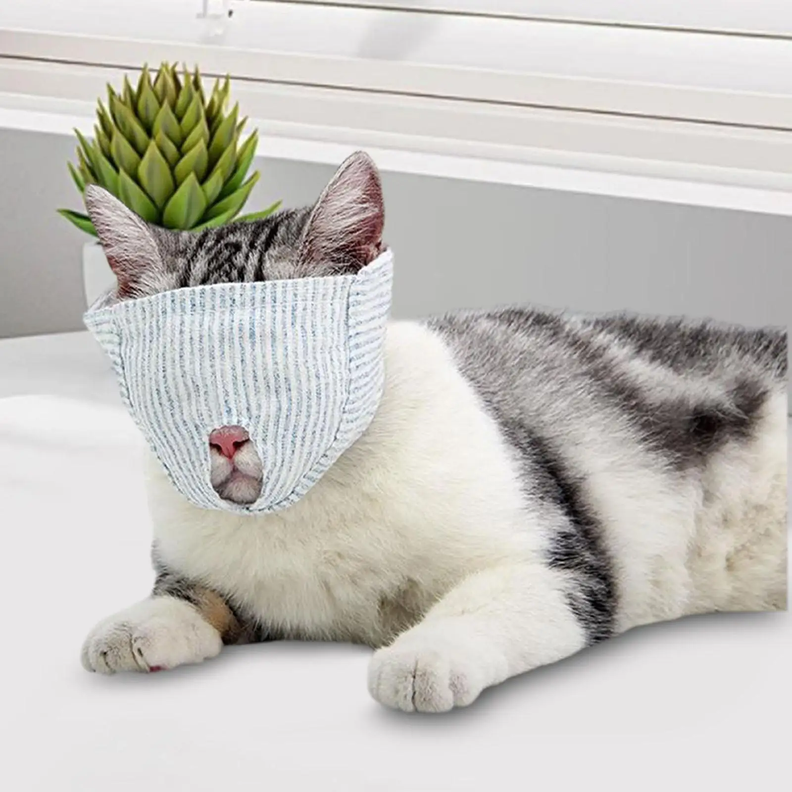 Máscara facial de tela suave y transpirable para el cuidado de gatos, ideal para cachorros, que evita que muerdan o lamen, y sirve como protección durante la recuperación postoperatoria. Cubre la cabeza y es ajustable.