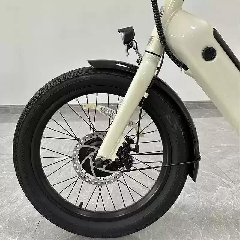 20-Inch Wide Tire Electric Tricycle for Elderly, Lithium Battery Powered Pedal Trike with Aluminum Alloy Frame