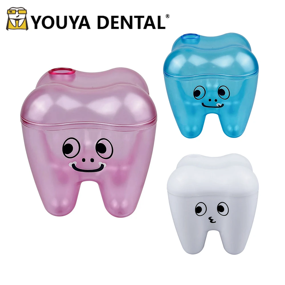 Cute Teeth Shape Storage Box Flosser Storage Case Placing Box Table Ornament Dental Office Decorations