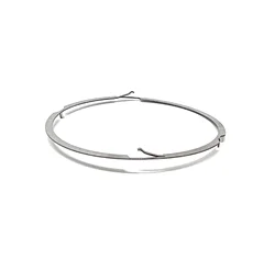 CT216 – BI-DIRECTIONAL Bezel CLICK Spring For SKX007 SRPD   GMT   7s26 0020