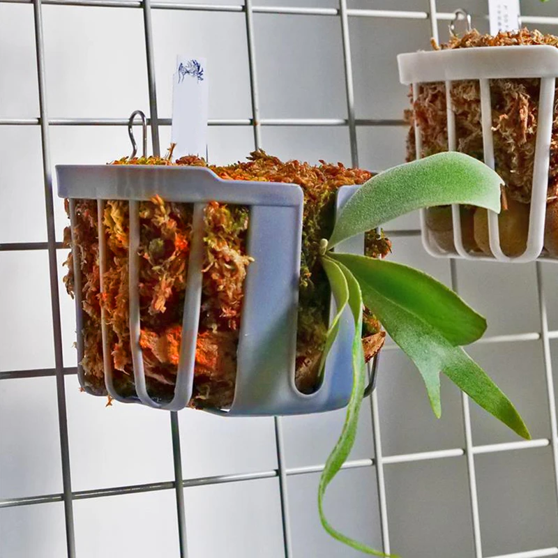 2pcs Staghorn Fern Planting Basket Garden Fixed Board Hanging Basket For Orchid Pot Breathable Hollow Plastic Plant Basket Decor