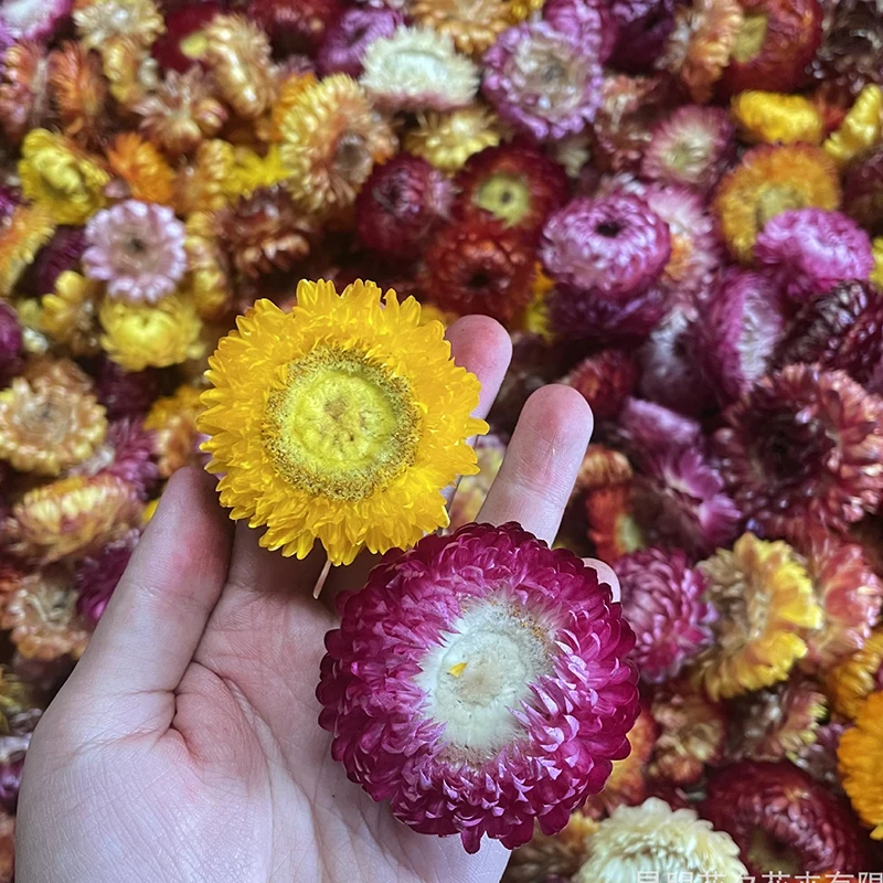 500g 1000g Getrocknete Gänseblümchen Natürliche Blumen Trockenstroh Chrysantheme Köpfe Hause Tisch Dekor DIY Handwerk Kerze Hochzeit Party Dekoration