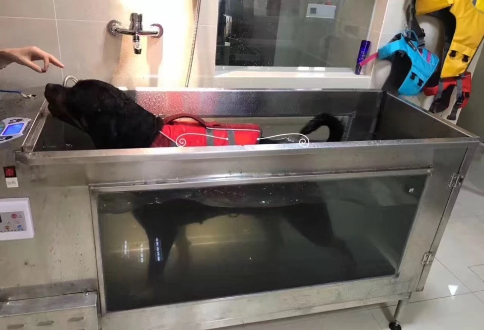 Pet underwater treadmill rehabilitation physiotherapy machine weight loss weight loss water temperature adjustable C380zhi
