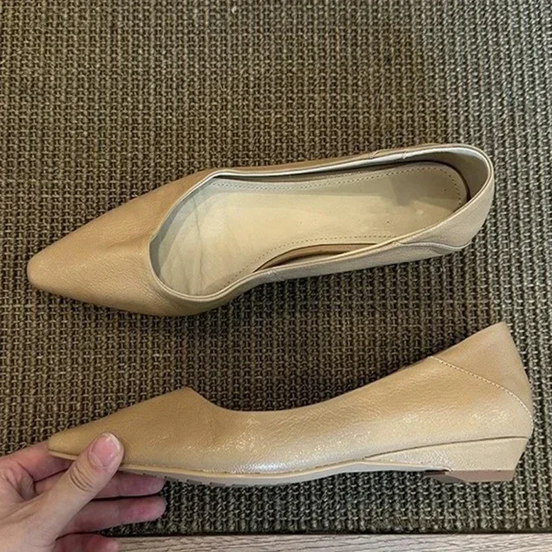 

Aneikeh Fashion Elegant Pointed Toe Women Pumps Shoes Party Dress Casual 2026 Spring Comfortable Low Heels Mules Sandals