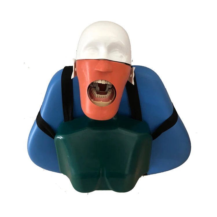 SJD-OC4 High-quality Educational Simulation Models Dental  Phantom Head for Practice Training