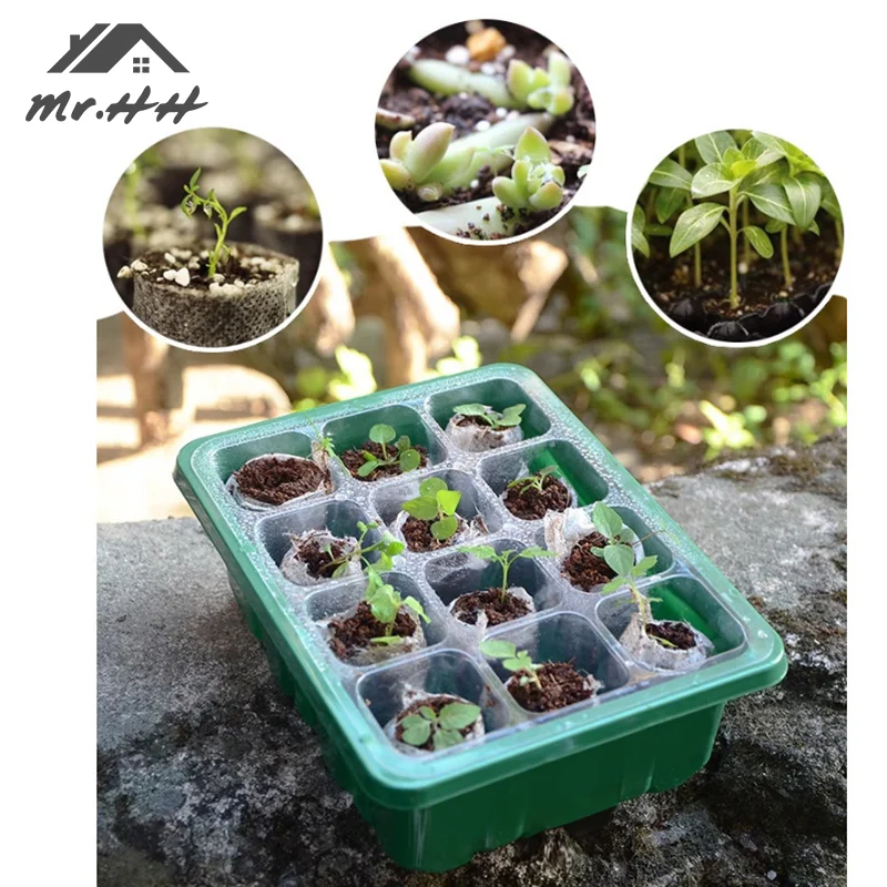 6/12 Hole Seed Starter Tray Plant Grow Box With Humidity Shield Succulent Seedling Tray Indoor Gardening Germination Tool