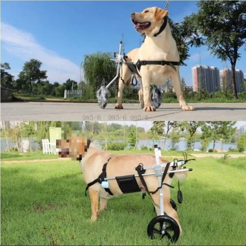 Dog scooter Pet paralysis disability assistance Hindleg support Hindlimb rehabilitation training Medium and large dog wheelchair
