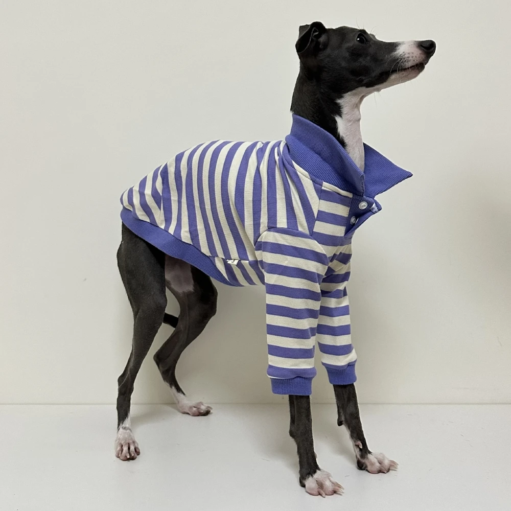 Italy Greyhound Cotton Striped Polo Shirt Huibit Dog Clothes Soft Elastic Coat for Bedlington Terrier Dog in Spring Autumn