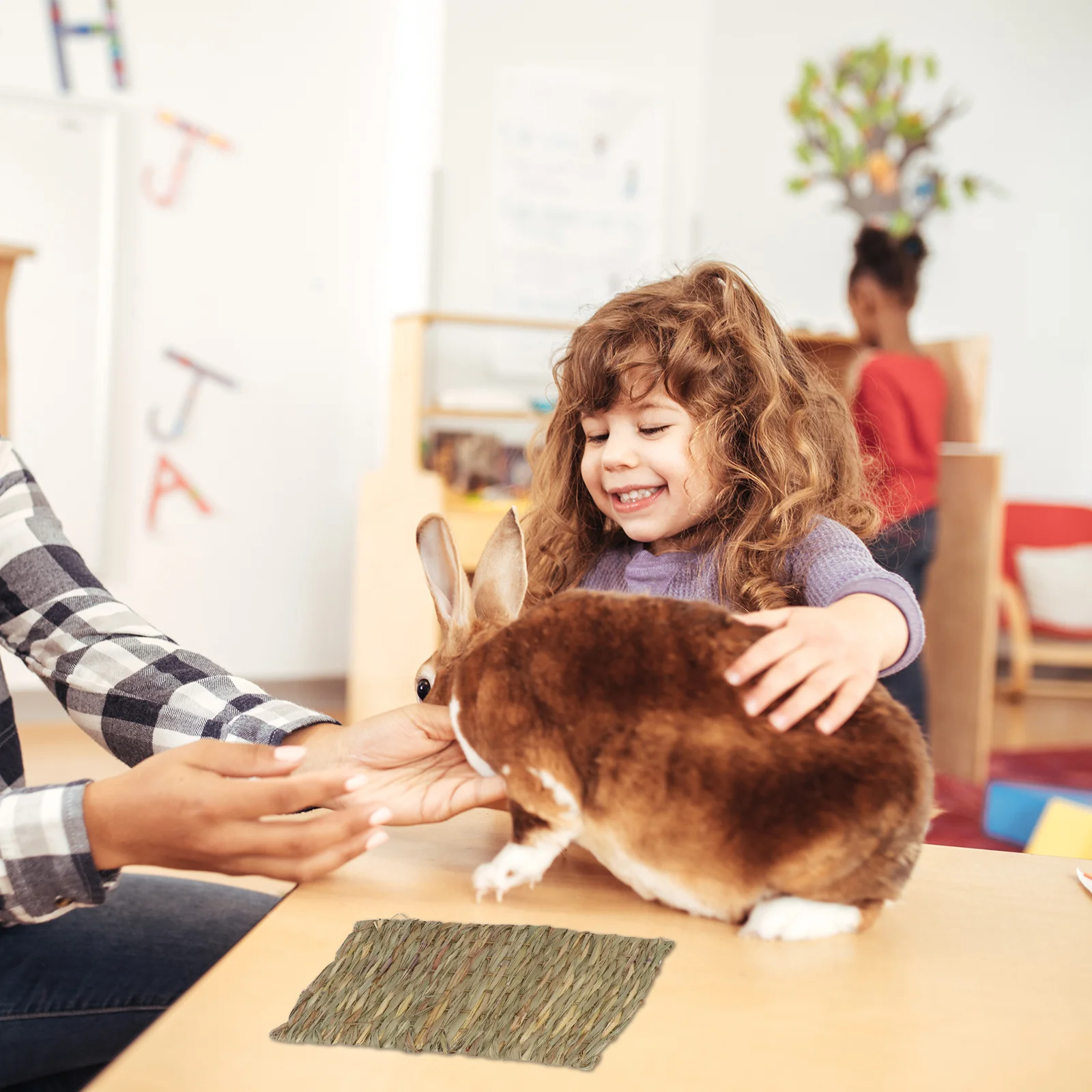 

2Pcs Pet Nest Mats Rabbit Straw Woven Soft Durable Molar Pads Safe for Chewing and Laying Rabbit Straw Mats Pet Molar Pads