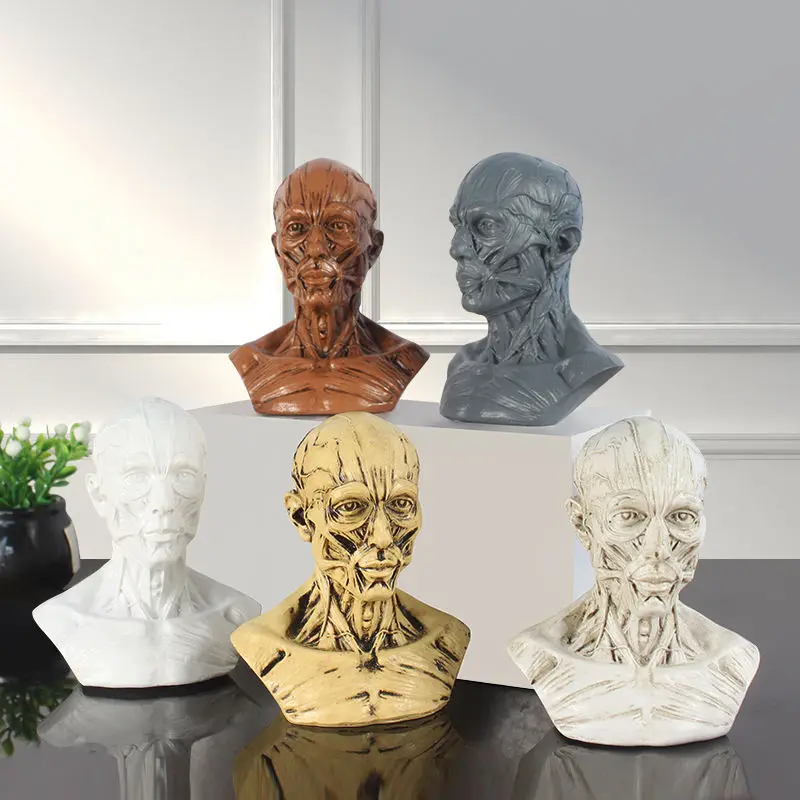 

Mini 1:3 Art Human Musculoskeletal Head Carving Skull Painting Reference Bust Anatomical Model Ornament Gift Home Decoration