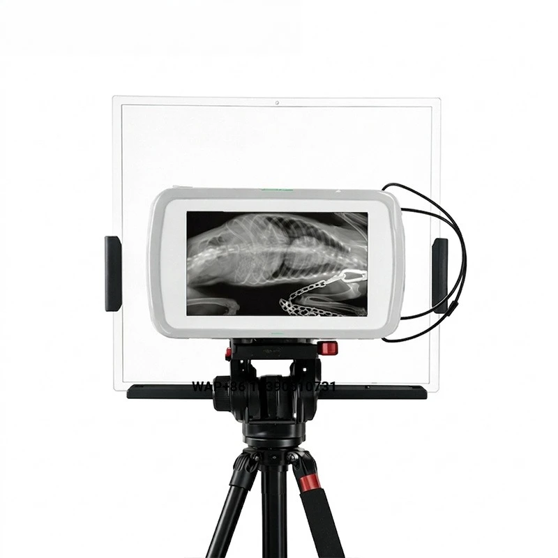 Veterinary Digital X-Ray Portable Device, Affordable, Mobile X-Ray Device, Mini Portable X-Ray Machine, Optional Flat Panel Dete