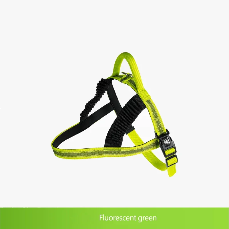 Latest Nylon Dog Collars and Leashes Training Collar Leash OEM