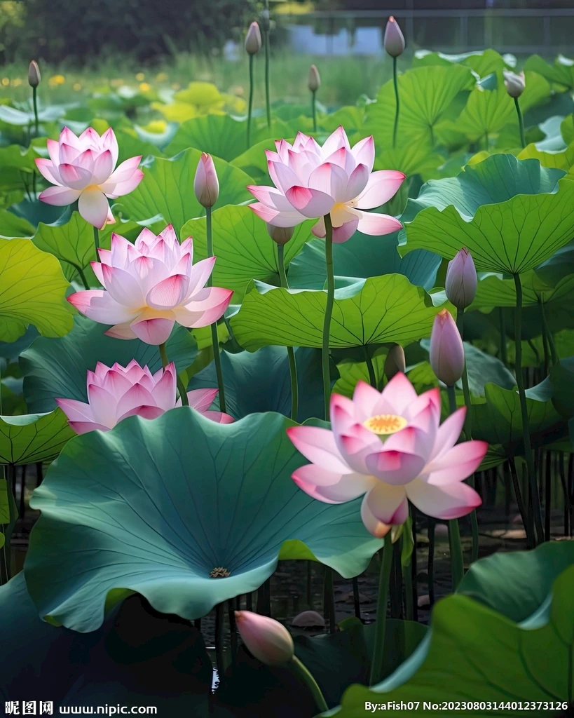 

103mm RC Wheel Hub & Tire Set for ARRMA 1/7 INFRACTION/LIMITLESS F1/OUTCAST 6S BLX RC Car Upgrade Parts (17mm Hex Adapter)