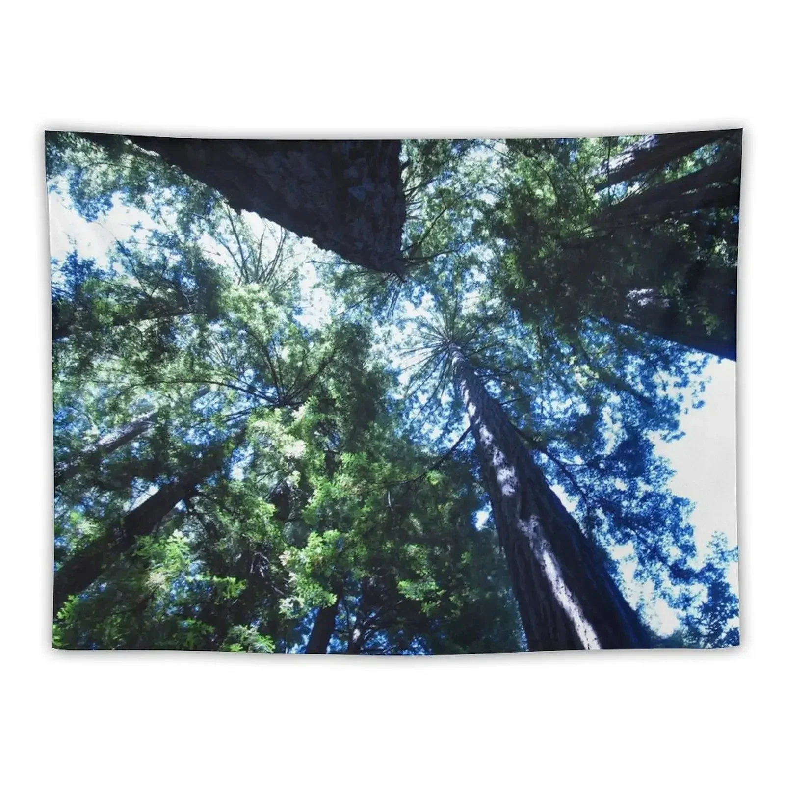 Redwoods from Below Tapestry Tapete For The Wall Aesthetic Room Decor Wall Hanging Wall Tapestry