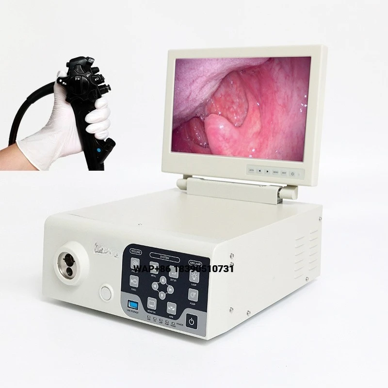 Newly designed animal endoscopes, portable veterinary gastroscopes and veterinary colonoscopes, suitable for large animals such