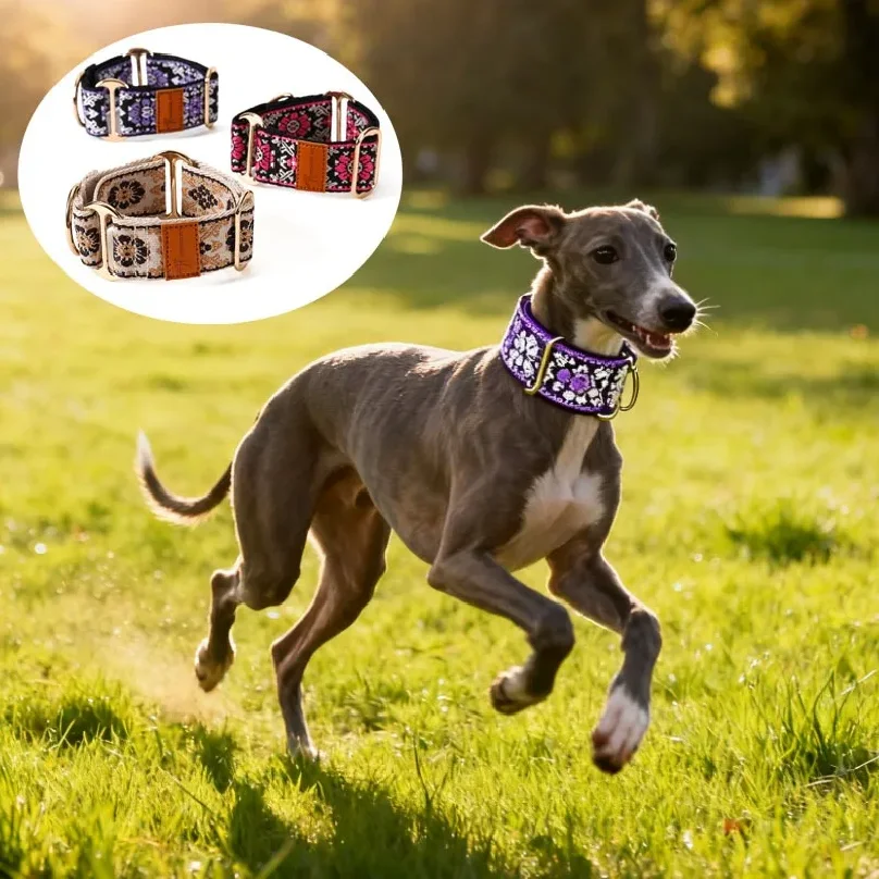 coleira-para-caes-estilo-Etnico-chines-martingale-para-greyhound-ajustavel-linda-coleira-para-lurcher-whippet-galgo-acessorio-para-caes