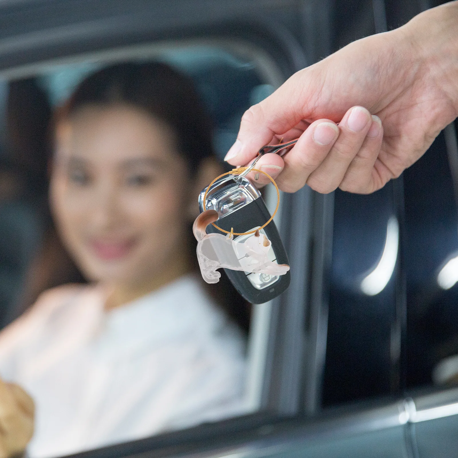 Caja de almacenamiento para gatos, llavero transparente en forma de gato, colgante de recuerdo de pelo, estuche conmemorativo portátil para coleccionista de memoria de mascotas, viaje para mascotas