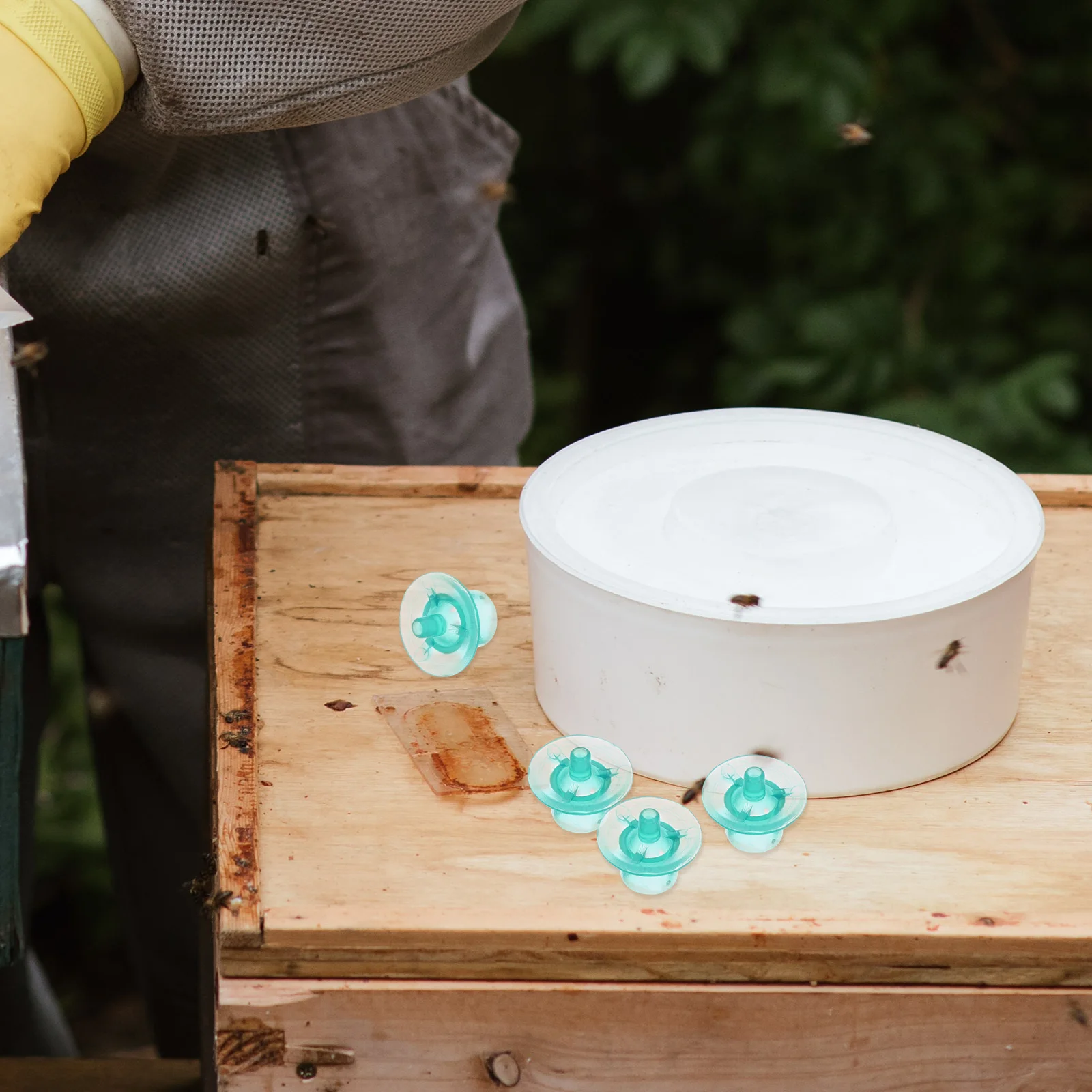 

100 Pcs Breeding Plastic Safe Material Easy Storage Beekeeping Equipment Tools Rearing Cell Cups Set Laying Eggs Raise