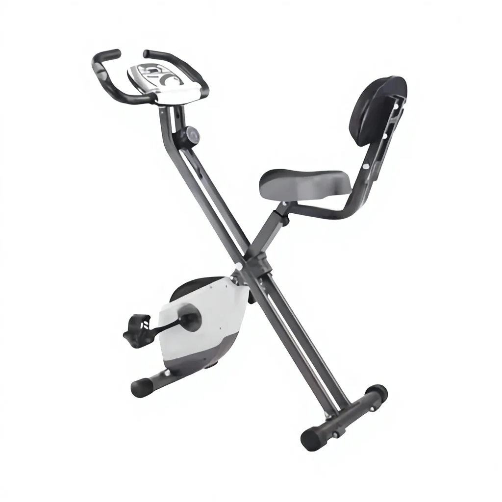 

Ultra-Quiet Indoor Exercise Spin Bike Foldable Portable Workouts Magnetic Bike