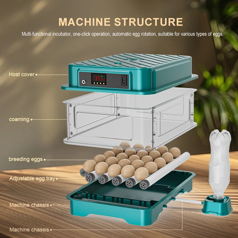 Fully Automatic  Chicken Quail Duck Goose Pigeon Egg Incubator 220V/110V/12V 24 Egg Hatching Incubator Machine view 5