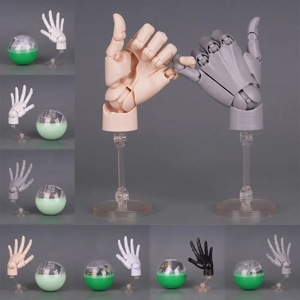 1:2 Scale Human Hand Model Mini Size Movable Joints Palm Model Twisted Egg Design With Posable Fingers Movable Finger Joints