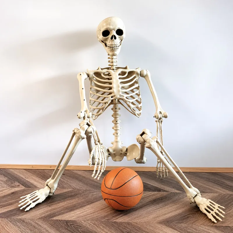 170cm Life Size Full Body Durable Posable Movable Standable Human Skeleton For Halloween Haunted House Escape Room Outdoor Decor