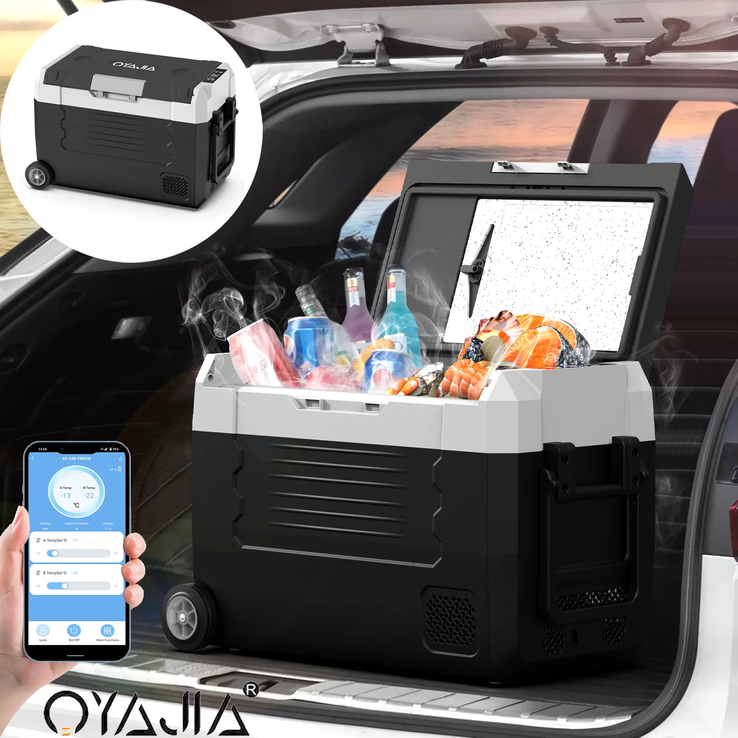 Kompressor-Kühlschrank, 35L/45L/55L Kompressor-Elektrokühler mit Touch-Steuerung und APP-Steuerung, Auto-Kühlschrank -20 ℃ ~20 ℃ , Tragbarer Kühlschrank 12/24V DC 230V AC Tragbarer Gefrierschrank für