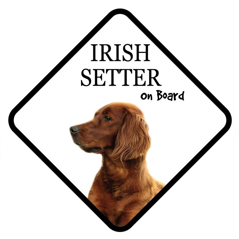 

Cartoon Irish SETTER on Board Car Sign Vinyl Window Trunk Decal Car Sticker Pet Dog Lover Graphic