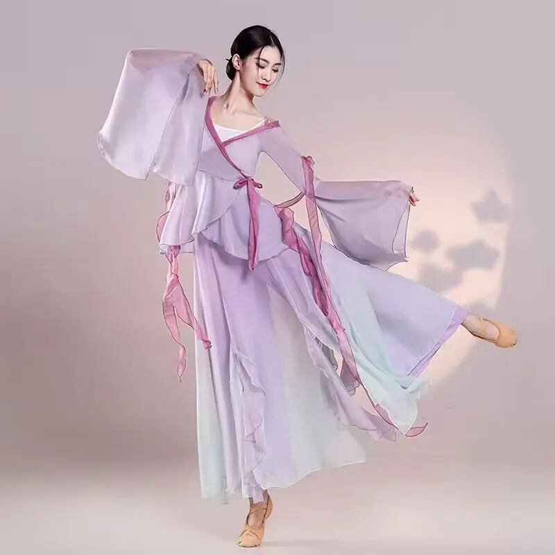 Classical dancer performance costumes elegant cardigan practice clothes body rhyme long outer gauze Chinese style folk dance