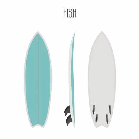 

Double fin or four fin ocean surfboard