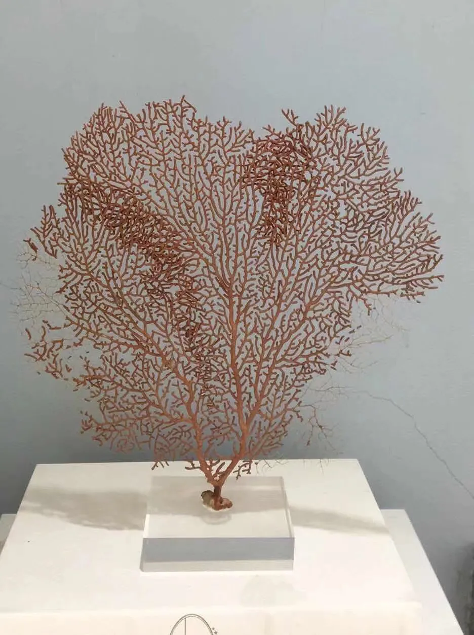 Sea Impression Ocean Xinzhong Coral Tree Ornament Creative Living Room Hotel Study Home Soft Decoration Crafts