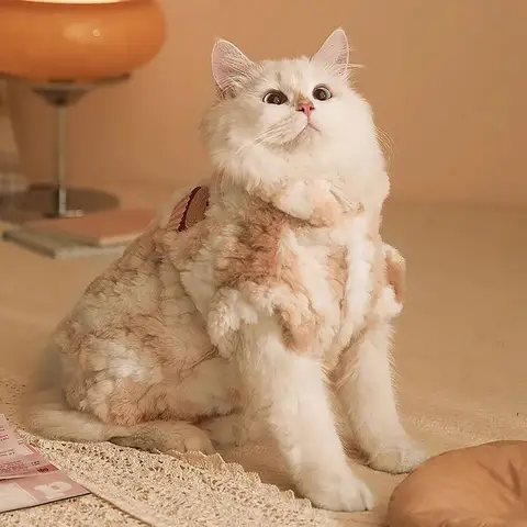 L-2XL Pet Vest Cat/Dog Plush Vest Keep Warm In Autumn And Winter Go Out For Small Medium 2.5-7kg Cat/Dog Pet Accessories