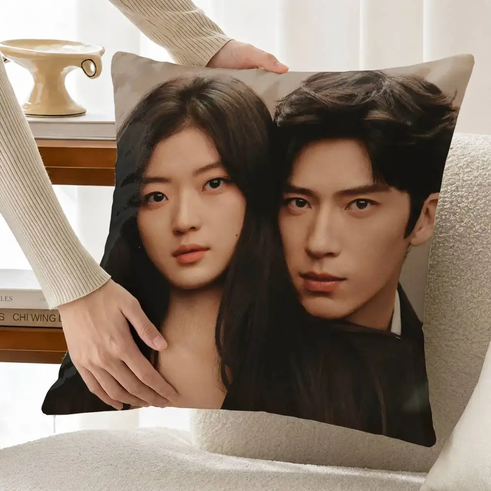Luke and Shang Zhitao The Early Spring Quiet Customizable Square Pillow case Double Sided Print Sofa Bedroom Decor Cushion Cover