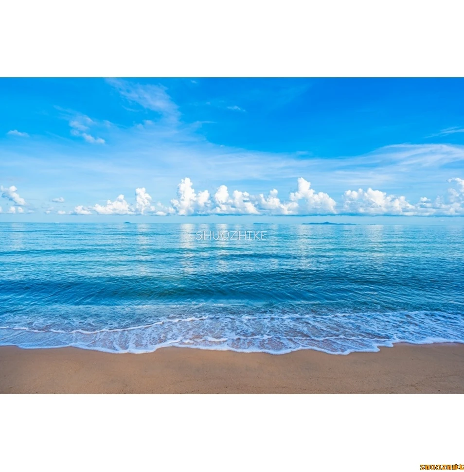 Fondo de playa de verano, mar, océano, hojas de palmera, Aloha, fiesta en la playa, cumpleaños, vacaciones, retrato, fotografía, fondo, decoración, utilería
