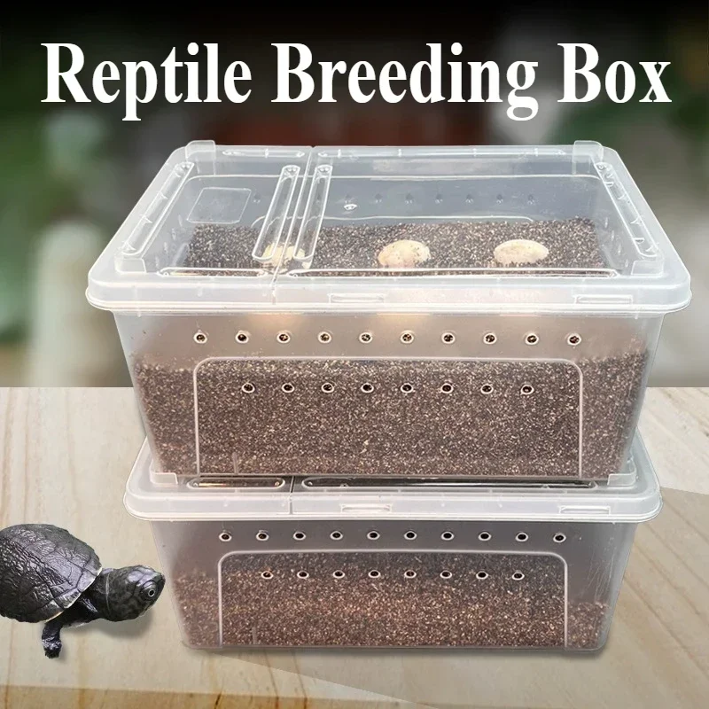 Reptile Breeding Feeding Box Transparent Plastic Insect Rearing Hatching Containers Habitat Cage for Spider Lizards Turtles