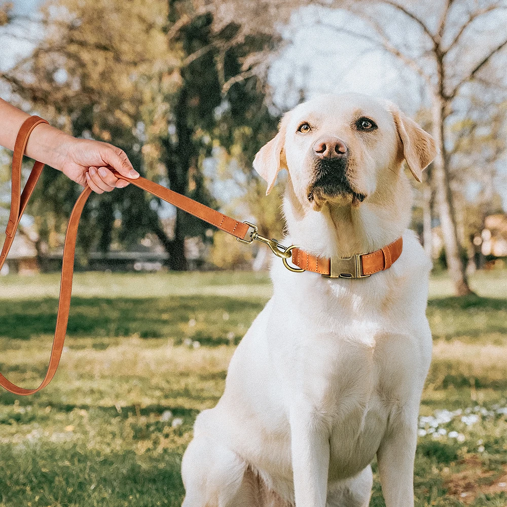 Adjustable Dog Collar And Leash PU Leather Dog Collars Durable Pet Lead Rope Necklace Soft for Small Medium Large Dogs Bulldog