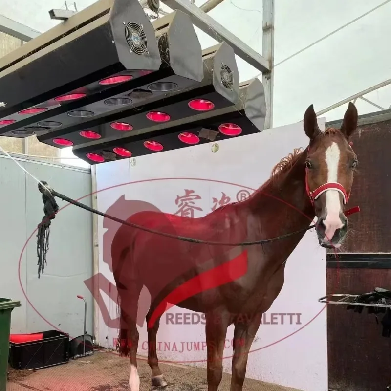 2026 All-Season Horse Solarium with Infrared Heat Lamps, for Cold Weather Warmth & Muscle Recovery | Professional Equine Therapy