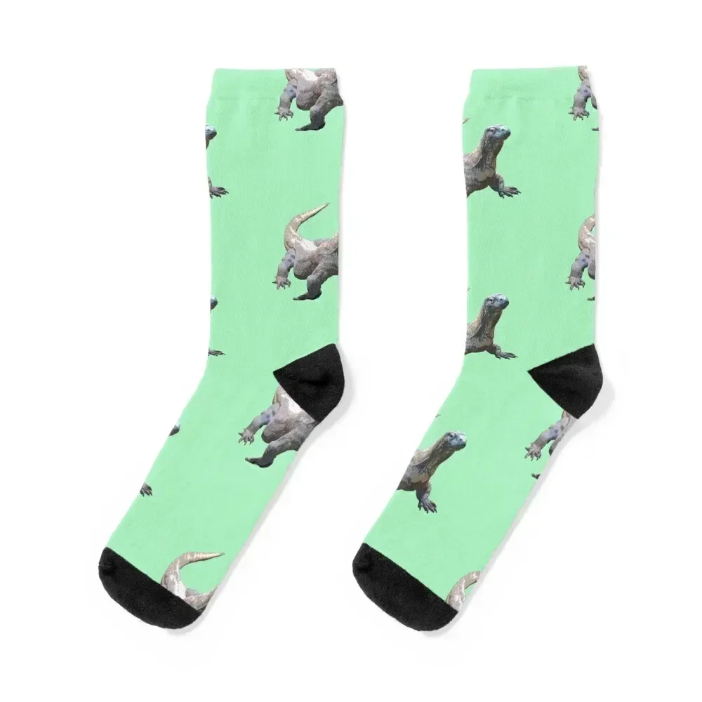 

Komodo Dragon Color Print Socks Stockings compression retro Socks Woman Men's