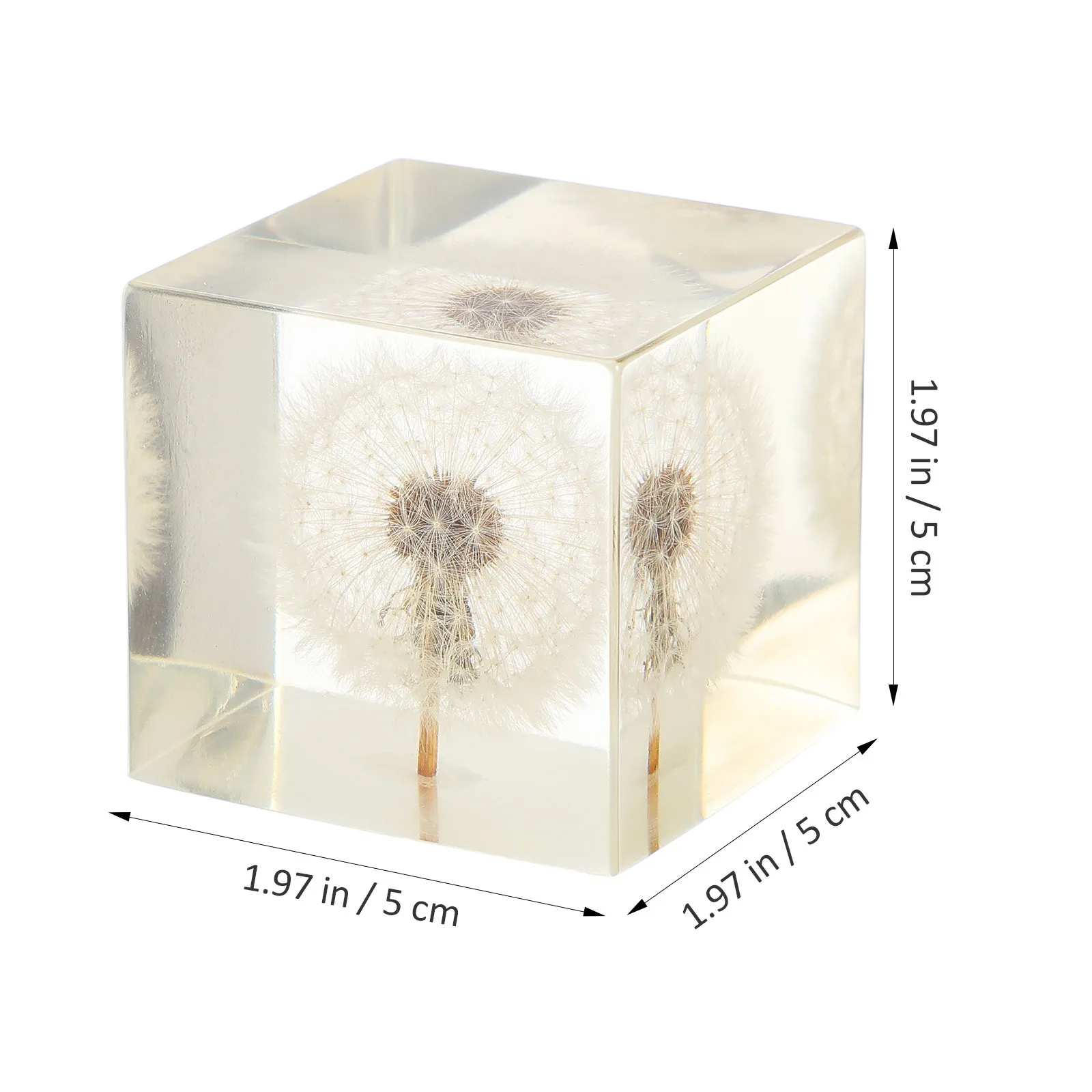 Ornamen Kubus Dandelion Bola Kristal Transparan Dekorasi Meja Kerajinan Kreatif untuk Hadiah Rumah Kantor Ornamen Kubus Dandelion