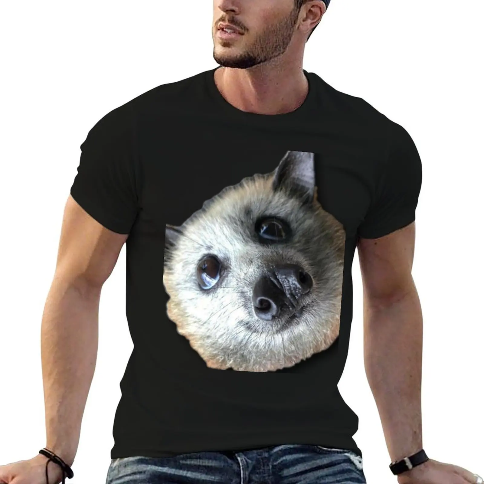 Atractivo murciélago volador de cabeza gris, Sinbad. Camisetas de Diseño para Hombre, Paquete de Camisetas Blancas