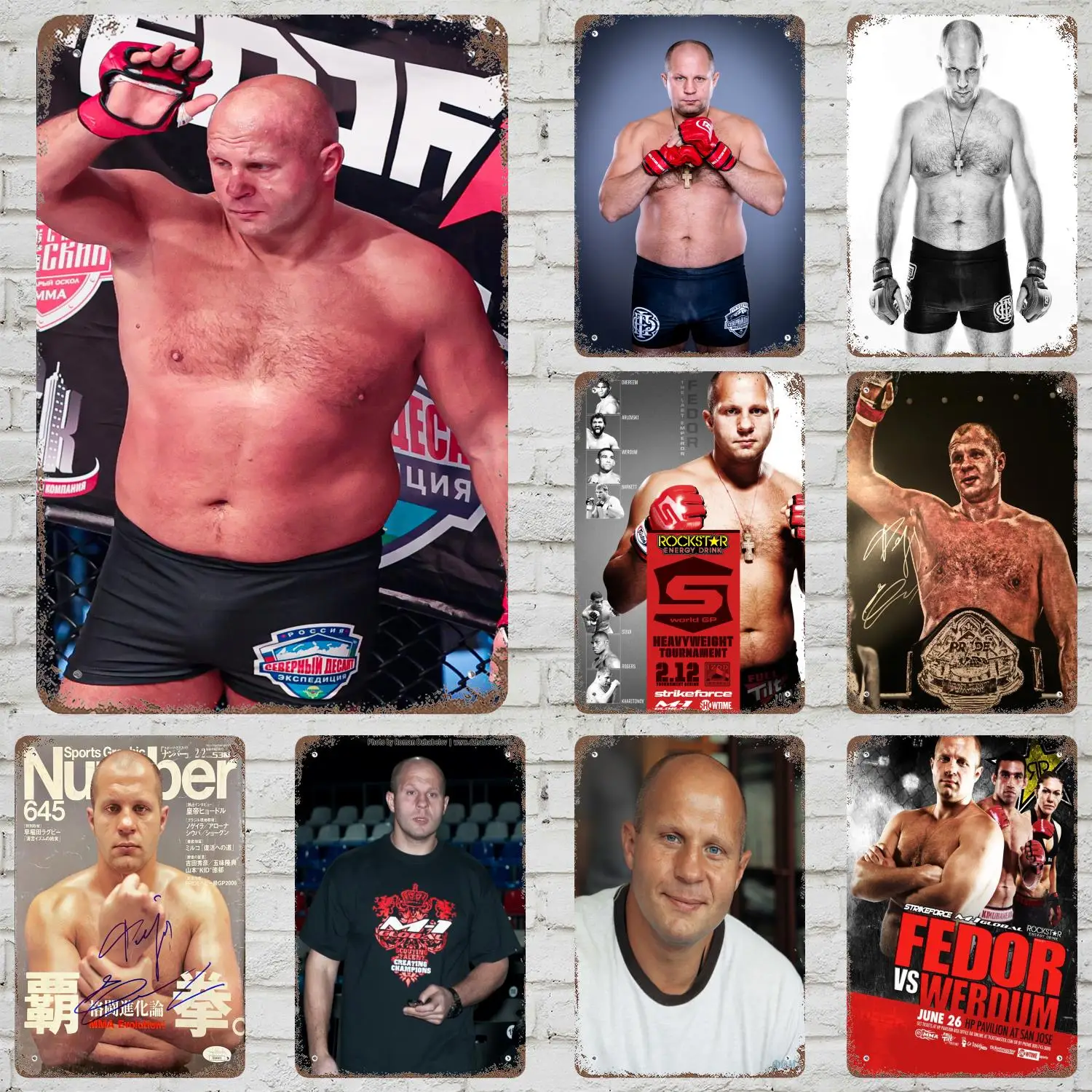 fedor emelianenko Metal Signs wall decor Vintage Tin Signs Captain Metal Poster Decor for Bar Pub Club Wall Decoration