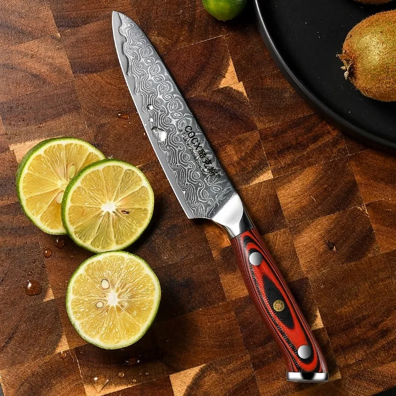 Damascus Utility Knife ,  Super-Sharp Blade, Premium Steel, Multi-Purpose,Kitchen Chef Fruit Knife